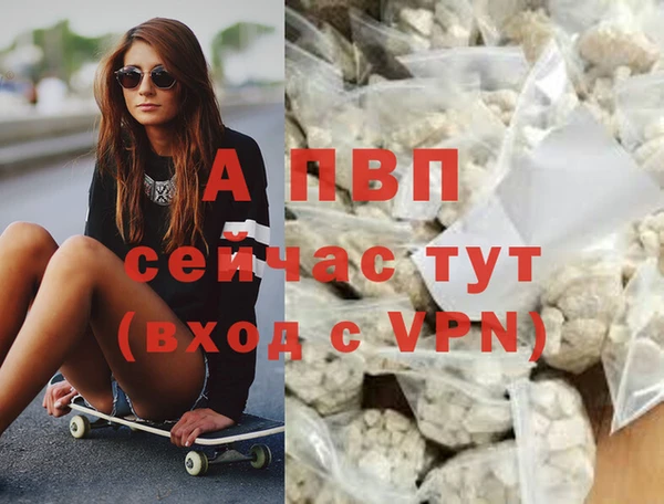 дживик Пересвет