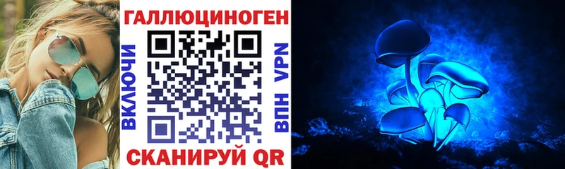 дарнет шоп  Поронайск  Псилоцибиновые грибы Cubensis 